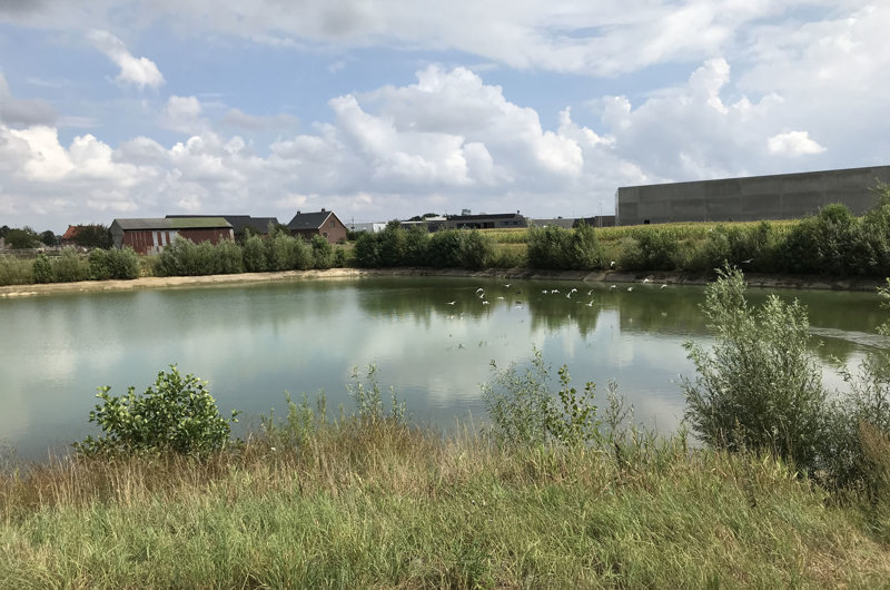 WB Staden Waterspaarbekken Mandel 1