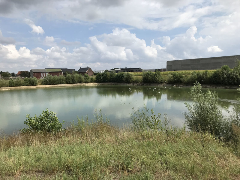 Staden - Waterspaarbekken Mandel (1)